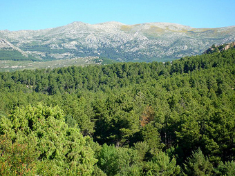 La Asamblea de Madrid prevé dar luz verde el lunes al Parque Nacional de Cumbres de la Sierra del Guadarrama