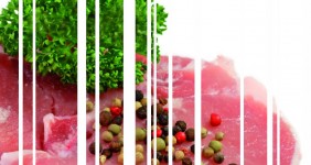 Sogama y el Día Mundial del Medio Ambiente