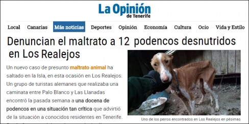 PACMA insta al gobierno canario a reformar la Ley de Protección Animal