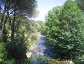 Proyecto Life+ Segura Riverlink