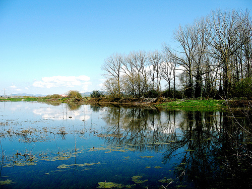Desarrollo Rural y Medio Ambiente organiza un programa de actividades para el Día Mundial de los Humedales 2010