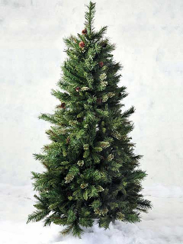 La recogida de abetos en Barcelona permite obtener 120 metros cúbicos de cobertura vegetal