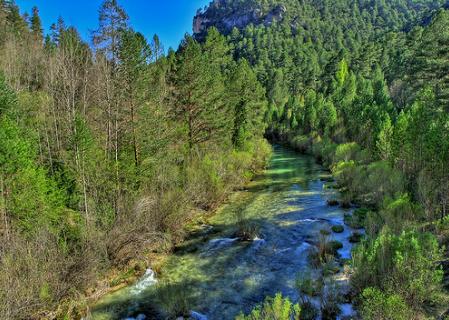 Parques Naturales: Se analizaron 70 aspectos de 21 espacios protegidos