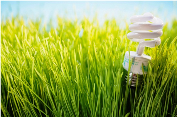 Piden al Gobierno que 2013 sea el año de las renovables y la eficiencia energética