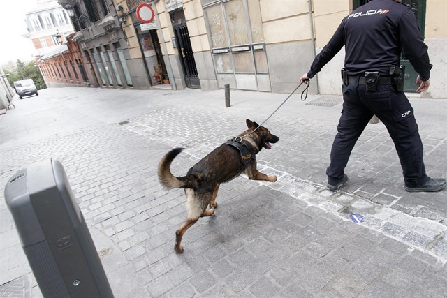 El Senado aprueba por unanimidad y "sin reservas" el Convenio europeo que prohíbe cortar el rabo a los perros