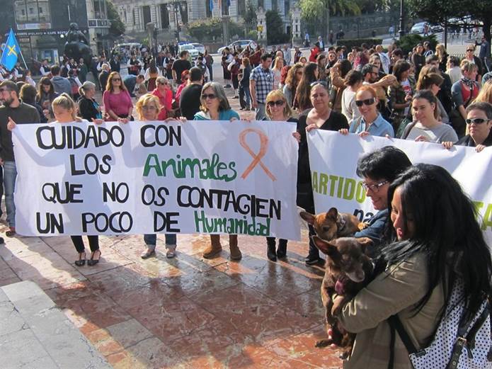 Ocho de cada diez voluntarios de las ONG animalistas son mujeres