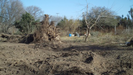 Argentina. En Córdoba se están desmotando hectáreas de bosque a razón de 6