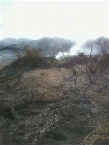 Galicia prepara un plan para evitar pérdidas de suelo tras los incendios