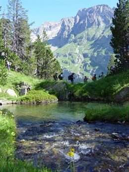 Sellos y Parques Nacionales