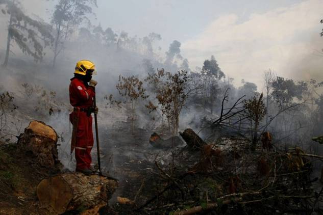 Medio Ambiente: ‘Con la nueva Ley de Montes no se podrá edificar en terrenos quemados y no habrá lugar a la especulación’