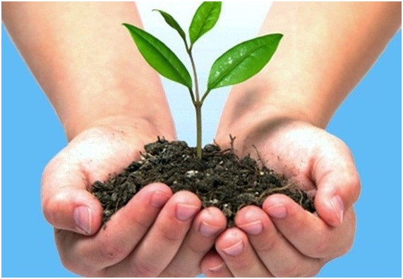 Conoce aquí el máster en Gestión Integrada de la Calidad