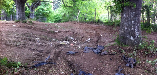 Experto en Riesgos en Suelos Contaminados con un curso de IUSC