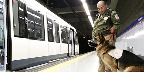 El juez da la razón a El Refugio sobre posible maltrato a perros del Metro