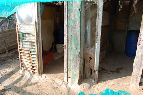 Detenido en Badalona un maltratador de perros hallados en extrema desnutrición