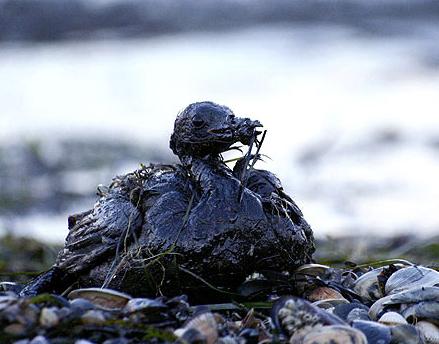 La Fiscalía aportará en el juicio del Prestige un informe sobre el impacto económico y social de la catástrofe