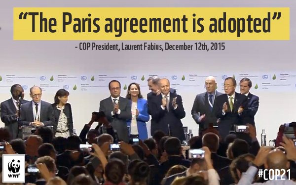 Es el momento de hacer realidad el Acuerdo de París sobre clima