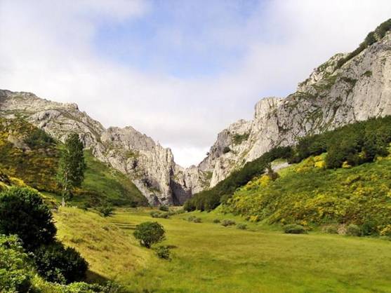 Palencia. Piden el PRUG del Parque Natural de la Montaña Palentina