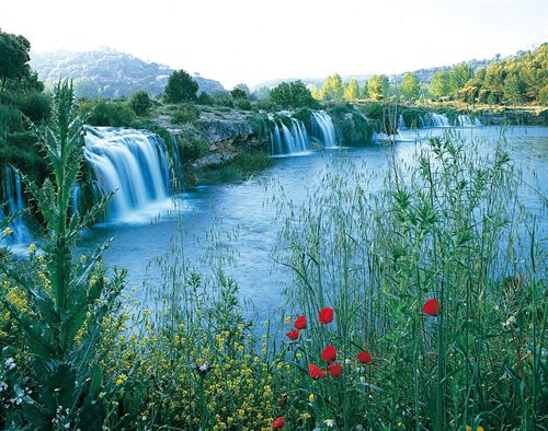 José Antonio Pizarro