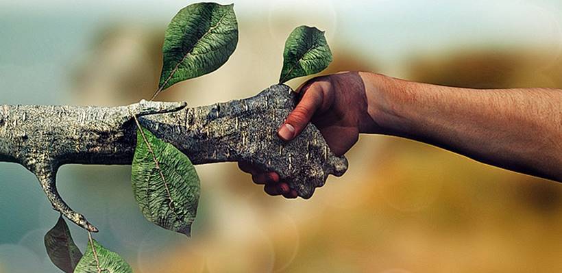 Sigue formándote con los mejores: Postgrado en sensibilización ambiental de IUSC