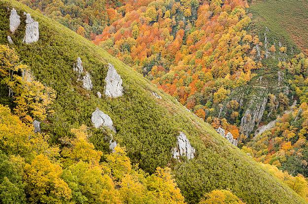México ocupa el primer lugar en reservas naturales