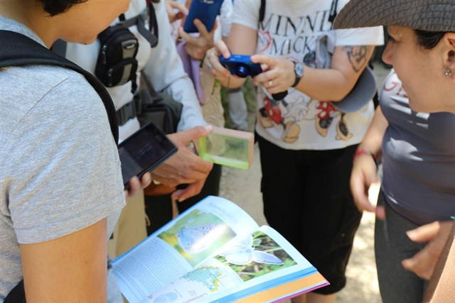 La Diputación de Málaga organiza actividades de sensibilización sobre mariposas e invertebrados de la Gran Senda