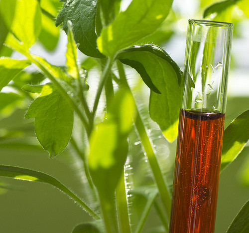 Química ‘verde’ en México