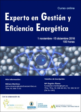 Quieres ser un Experto en Gestión y Eficiencia Energética