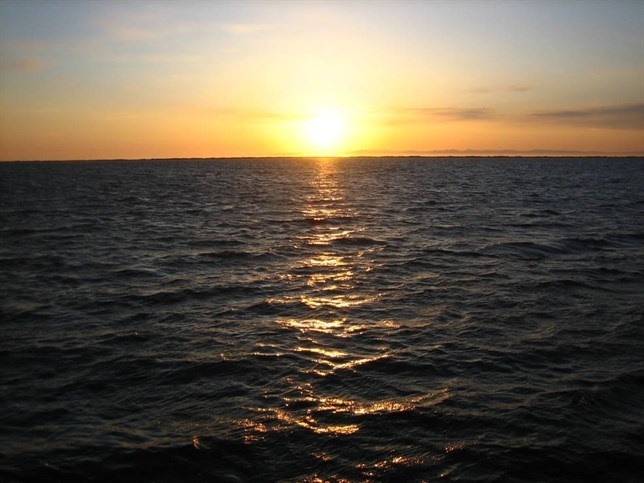 Por qué los mares han estado absorbiendo más CO2 durante la pasada década