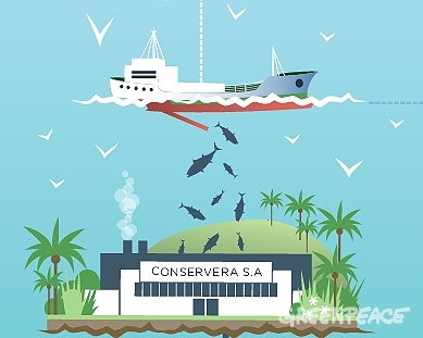 Realmente de dónde viene el bonito del norte