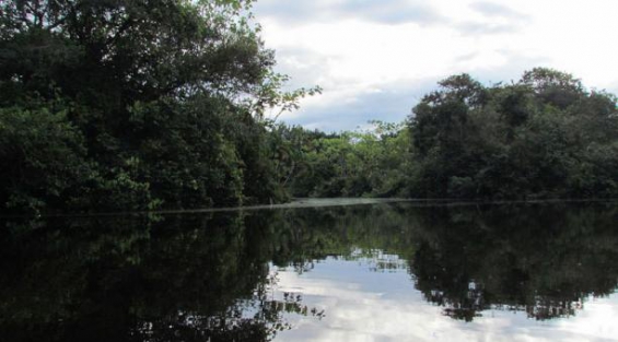 Perú: reserva inagotable de biodiversidad