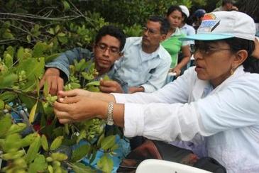 La Universidad de Sevilla enseña técnicas de explotación sostenible a las poblaciones nicaragüenses