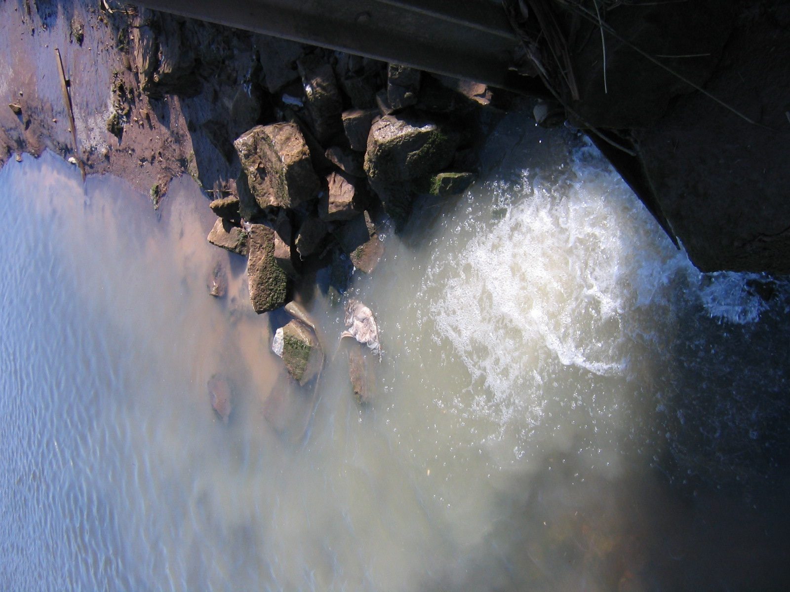 Siguen los vertidos a la ría de Villaviciosa por la neglicencia del Principado de Asturias