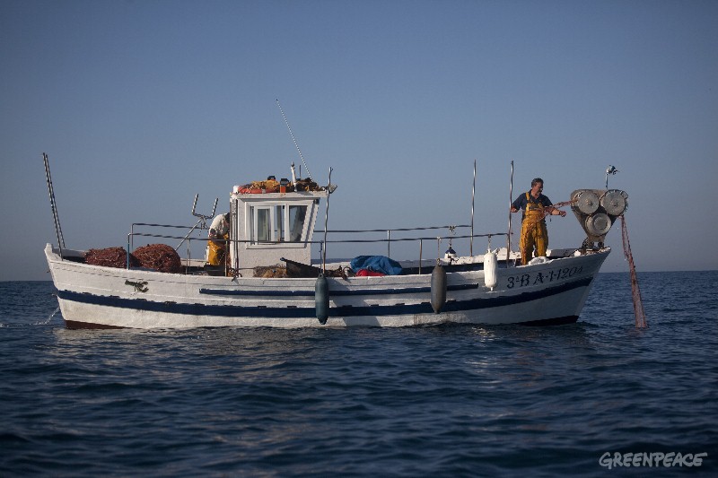 Greepeace pide a Arias Cañete que luche contra la sobrepesca