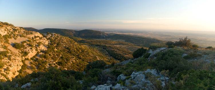 Aragón apuesta por la creación de la Reserva de la Biosfera Sierra de la Carrodilla