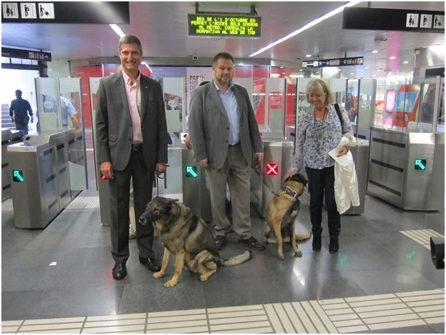 Metro Madrid estudia permitir el acceso de perros