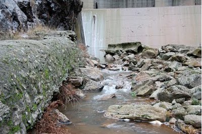 Unas 50 ecologistas protestan en las Fragas do Eume contra las eléctricas