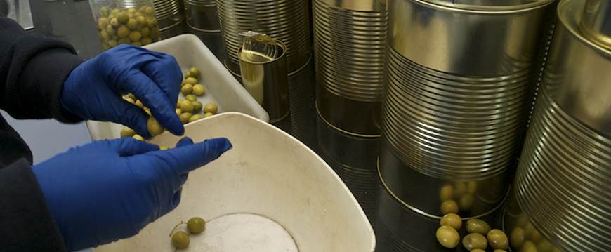 Extremadura. Condenan a Plasoliva por un delito contra los recursos naturales