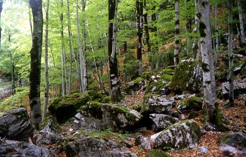 Blindarán la gestión integral de los parques nacionales