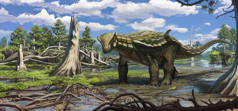 Teruel ‘alumbra’ un nuevo dinosaurio acorazado único en Europa