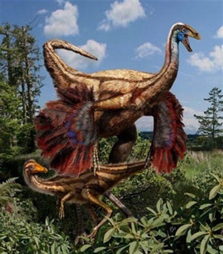 Descubren fósiles de los primeros dinosaurios con plumas de Norteamérica