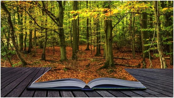 No dejes escapar este máster en gestión sostenible del ambiente