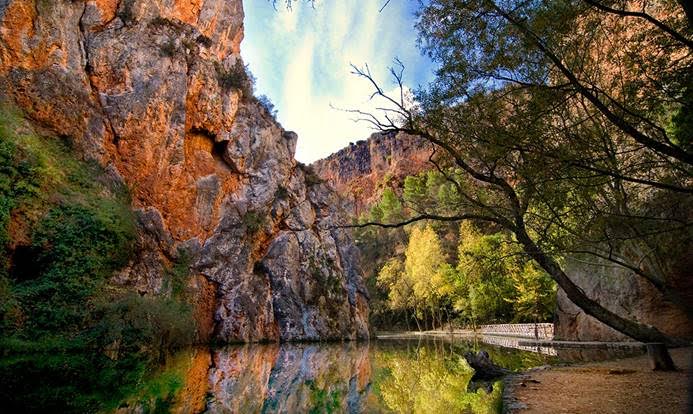 Experto en Planificación y Conservación de Espacios Naturales