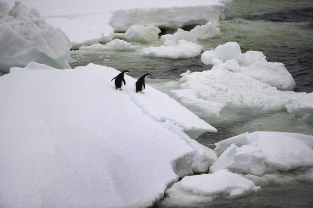 Las consecuencias de la descongelación del permafrost
