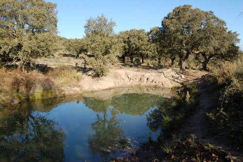 Constituirán una red de fincas para la conservación de la biodiversidad en el Oeste ibérico