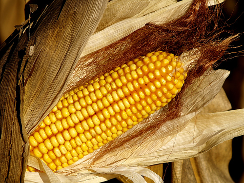 Alta demanda de alimentos