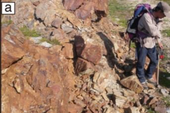 Canadá: Hallan restos de los posibles primeros organismos de la Tierra