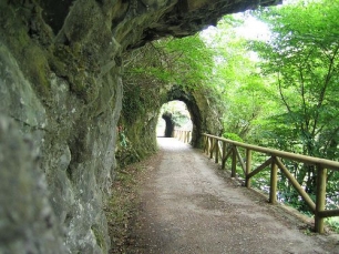 Aragón apuesta por los caminos naturales