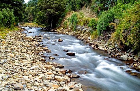 La CHS lidera los proyectos de voluntariado ambiental en ríos del Ministerio de Medio Ambiente