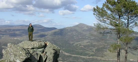 Comunidad de Madrid recupera zonas de alto valor ecológico en la zona de Especial Protección de Aves de los ríos Alberche y Cofio