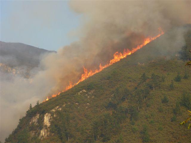 Incendio forestal en el Parque Nacional de los Picos de Europa